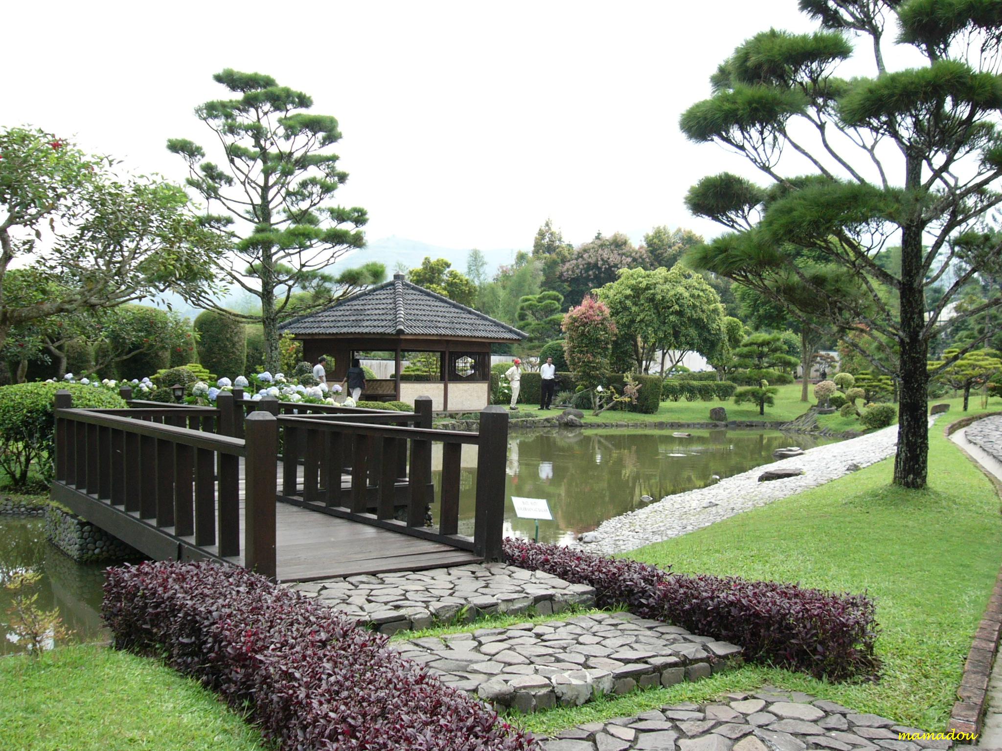 Desain Taman Jepang Gambar Puasa Puncak Bunga Nusantara Mmm Mewarnai